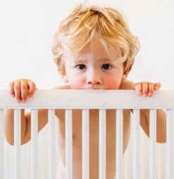 Prince Lionheart Crib Bed 3 Cm Randbeschermer Ledikant 9950 -Baby Thuis Verkoop 5207c 1