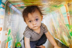 Prince Lionheart Playmat City/Zoo Opvouwbaar Speelkleed 7765 -Baby Thuis Verkoop 999999 049345002119 6 4