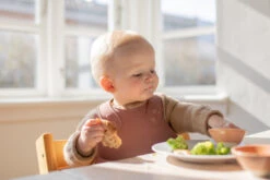 Bibs Overall Woodchuck Slab 4000247 -Baby Thuis Verkoop Bibs Overall Woodchuck Slab 4000247 3