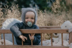 Bibs Try-it Sage 0-6 Mnd 4 Stuks Fopspenen 91343 -Baby Thuis Verkoop bibs de lux silicone fopspeen 2 3