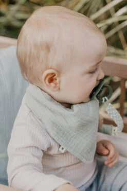 Bibs Blush/Ivory Fopspeenkoord 9401107 -Baby Thuis Verkoop bibs fopspeenkoord 4