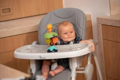 Bo Jungle B-Suction Toy Smart Owl Kinderstoel Speelgoed B910810 -Baby Thuis Verkoop bo jungle b suction toy smart owl kinderstoel speelgoed b910810 8