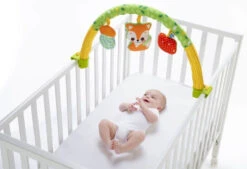 Chicco 3-in-1 Activity Babygym Speelkleed C104710 -Baby Thuis Verkoop chicco 3 in 1 activity babygym c104710 3