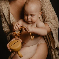 Suavinex Essence Green Silicone Speenhouder SXSEZ00081429 -Baby Thuis Verkoop colour essence soother case mango 3 2