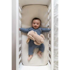 Doomoo Snoogy Biscuit Konijn Magnetronknuffel SY21 -Baby Thuis Verkoop doomoo snoogy biscuit konijn magnetronknuffel sy21 7