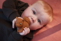 Filibabba Sonja The Squirrel Natuurrubber Bijtspeeltje FILI-SONJATEETH_1_02213 -Baby Thuis Verkoop filibabba sonja the squirrel natuurrubber bijtspeeltje fili sonjateeth 1 02213 6