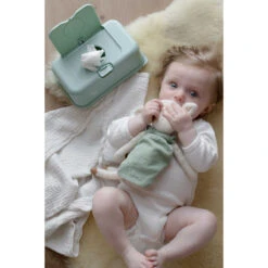 FunkyBox Mint Leave FB60 -Baby Thuis Verkoop funkybox mint leave fb60 .sfeer3