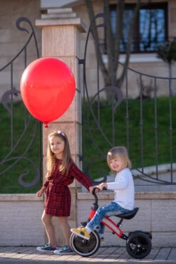 Lorelli Dallas Red Driewieler 1005050-004 24 Lorelli Dallas Red Driewieler 1005050-004 -Baby Thuis Verkoop lorelli dallas driewieler 11