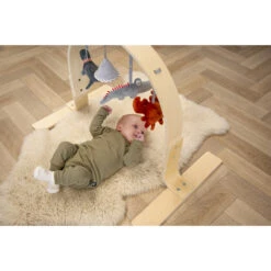 Tryco Houten Babygym TR-303011 -Baby Thuis Verkoop mamaloes tryco babygym 01 1