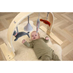 Tryco Houten Babygym TR-303011 -Baby Thuis Verkoop mamaloes tryco babygym 02 1