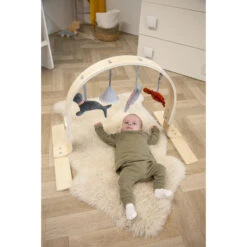 Tryco Houten Babygym TR-303011 -Baby Thuis Verkoop mamaloes tryco babygym 03 1