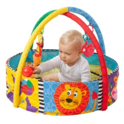 Playgro Play & Grow Activiteiten Speelkleed Ballenbak P0184007 -Baby Thuis Verkoop playgro play grow activiteiten speelkleed ballenbak p0184007 4