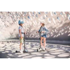 Scoot And Ride Ash Highwaykick 5 Step SR-96440 -Baby Thuis Verkoop scoot and ride ash highwaykick 5 step sr 96440 sfeer