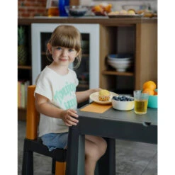 Tega Baby Teggi Graphite/Mustard Multifun Kinderstoeltje TI-023-172 -Baby Thuis Verkoop tega baby teggi graphite.mustard multifun 3 in 1 tafel 1 1