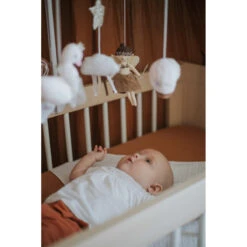 Tryco Fantasie Fee Muziekmobiel TR-243315 -Baby Thuis Verkoop tr 243315 8720289399689 fantasy fairy musical mobile 03 1