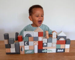 Tryco 50 Stuks Houten Blokken TR-353001 -Baby Thuis Verkoop tr 353001 tryco wooden 50pcs blocks 06