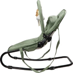 Tryco Lion Leo Groen Wipstoel TR-272703 -Baby Thuis Verkoop tryco lion leo green wipstoel tr 272703 3